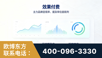 陆丰-效果付费：主力品牌呈现率、提及率位居前列