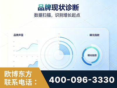 陆丰-品牌现状诊断