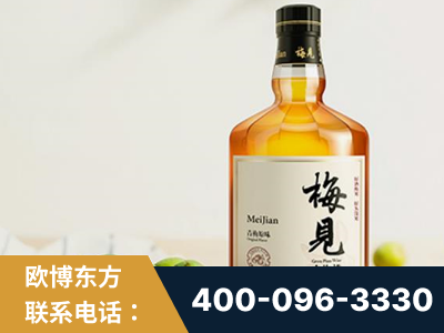 陆丰-梅见青梅酒