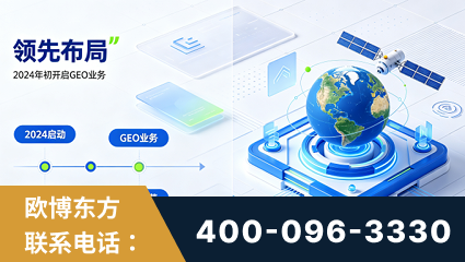 陆丰-领先布局：于2024年初开启GEO业务的公司